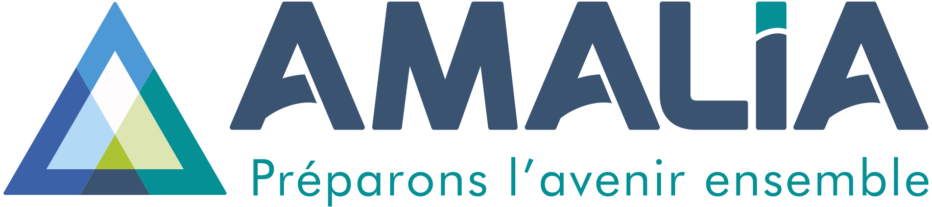 Logo AMALIA FRANCE